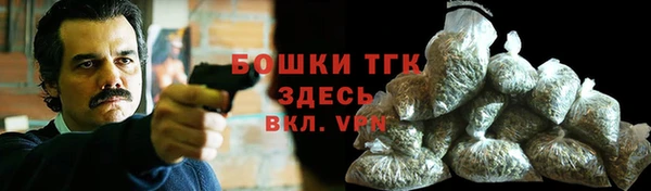 мдпв Михайлов
