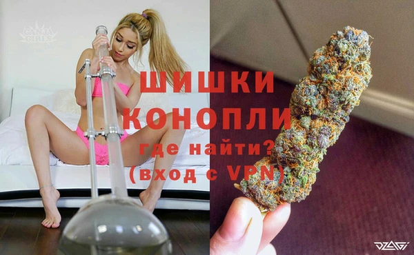 PSILOCYBIN Медногорск