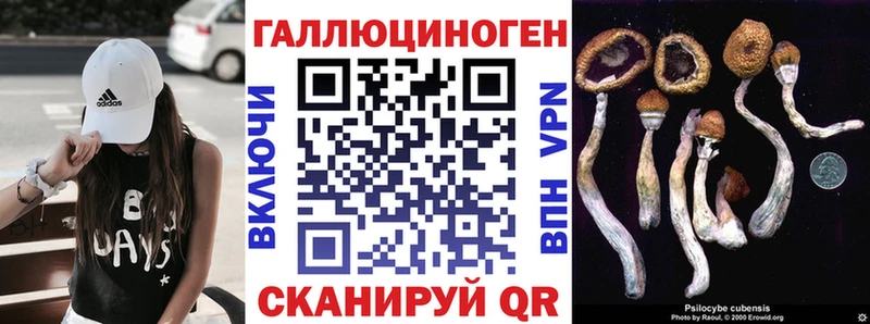 Галлюциногенные грибы MAGIC MUSHROOMS  Купить  Ясный 